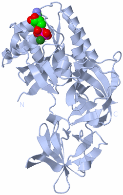 Image Biological Unit 1