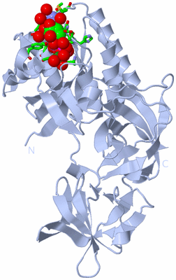 Image Biol. Unit 1 - sites