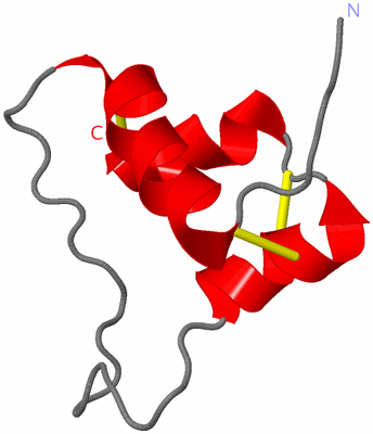 Image NMR Structure - model 1