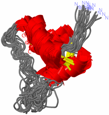 Image NMR Structure - all models