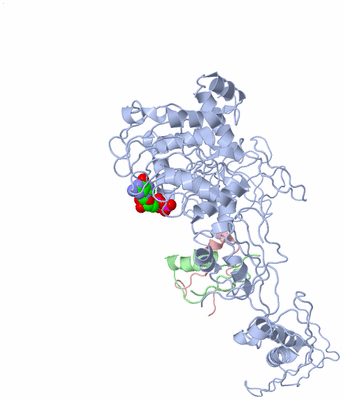 Image Asym./Biol. Unit