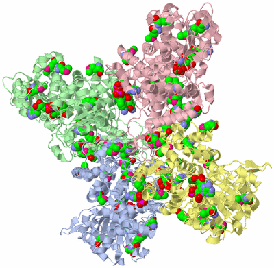 Image Asym./Biol. Unit