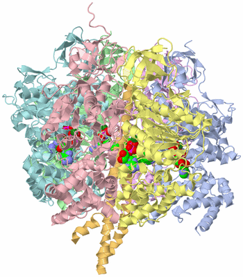 Image Asym./Biol. Unit