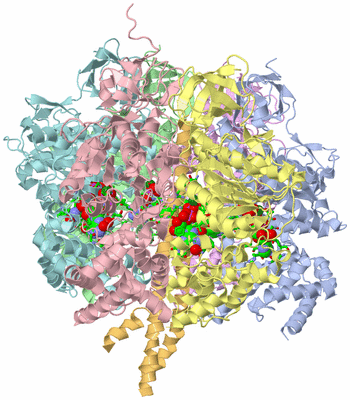 Image Asym./Biol. Unit - sites