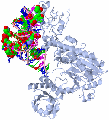 Image Biological Unit 1