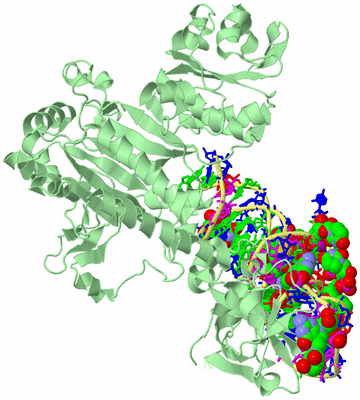 Image Biological Unit 2