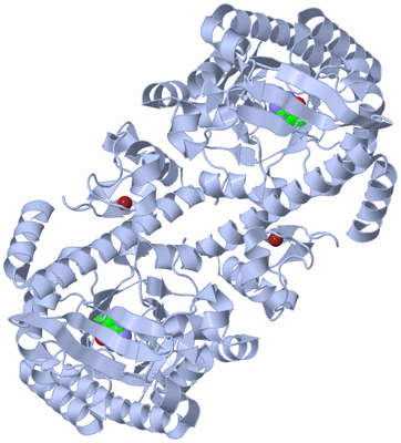 Image Biological Unit 2