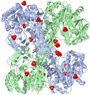 Image Biological Unit 1