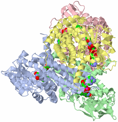 Image Asym./Biol. Unit