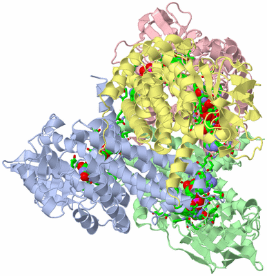 Image Asym./Biol. Unit - sites