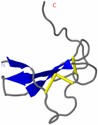 Image NMR Structure - model 1