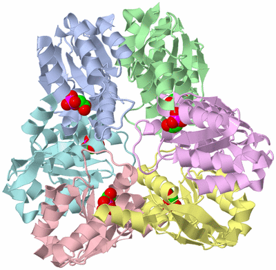 Image Asym./Biol. Unit
