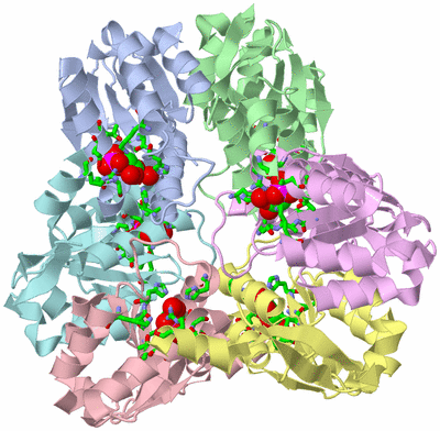 Image Asym./Biol. Unit - sites