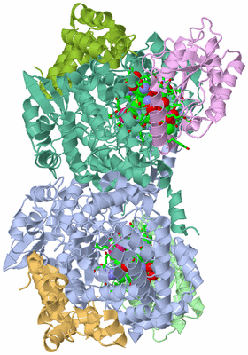 Image Asym./Biol. Unit - sites