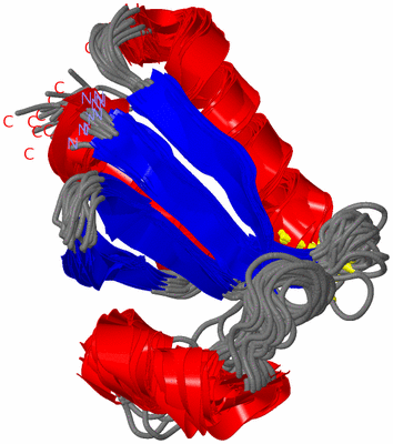 Image NMR Structure - all models