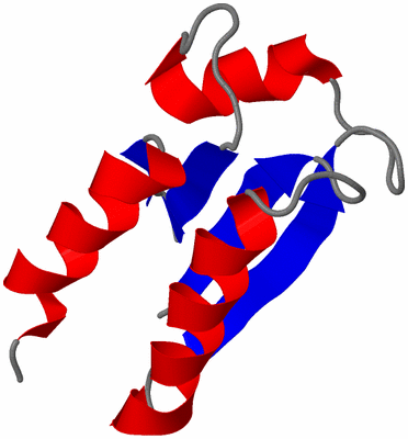 Image NMR Structure - model 1