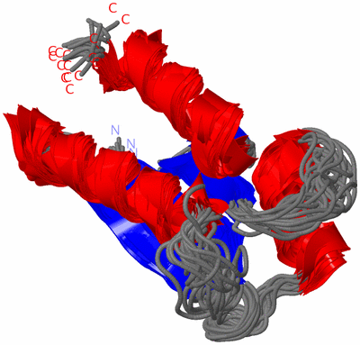 Image NMR Structure - all models