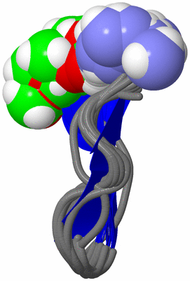 Image NMR Structure - all models