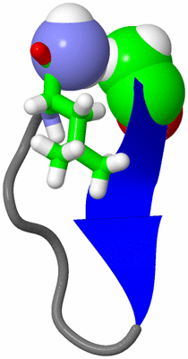 Image NMR Structure - model 1, sites