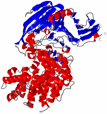 Image Asym./Biol. Unit