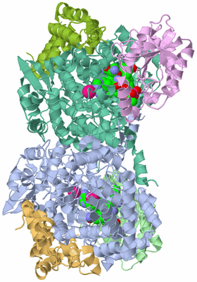 Image Asym./Biol. Unit