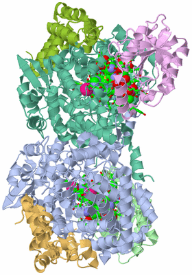 Image Asym./Biol. Unit - sites