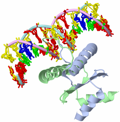 Image Biological Unit 1