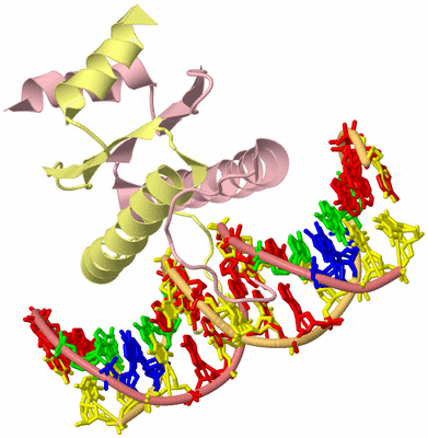 Image Biological Unit 2