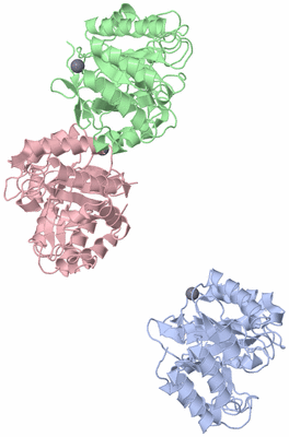 Image Asymmetric Unit