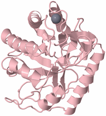 Image Biological Unit 3
