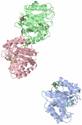 Image Asym. Unit - sites