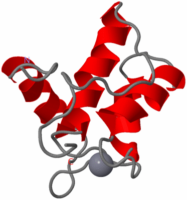 Image NMR Structure - model 1