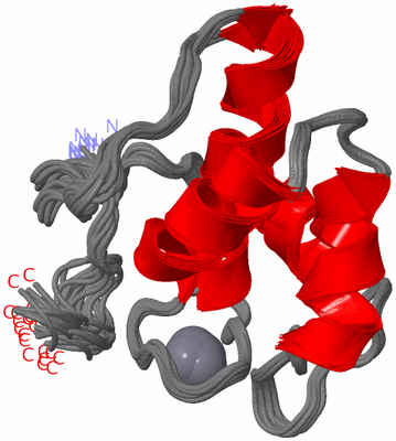 Image NMR Structure - all models