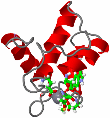 Image NMR Structure - model 1, sites