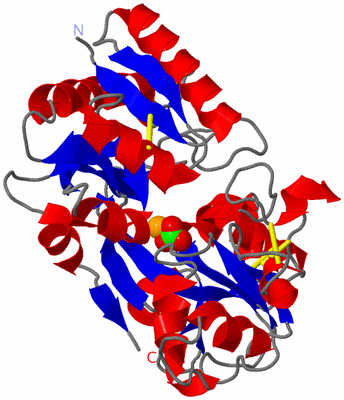 Image Asym./Biol. Unit