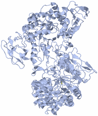 Image Biological Unit 1