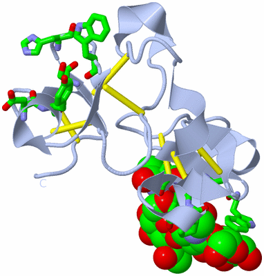 Image Biol. Unit 1 - sites