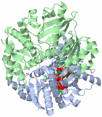 Image Asym./Biol. Unit - sites