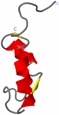 Image NMR Structure - model 1