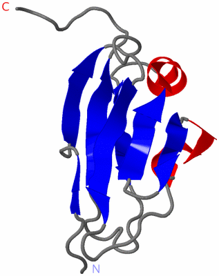 Image NMR Structure - model 1