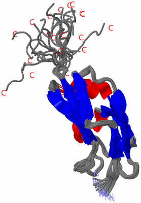 Image NMR Structure - all models