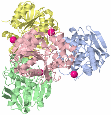 Image Asymmetric Unit