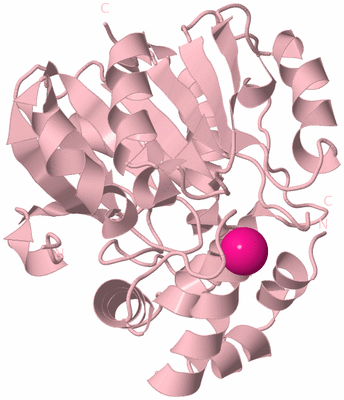 Image Biological Unit 3