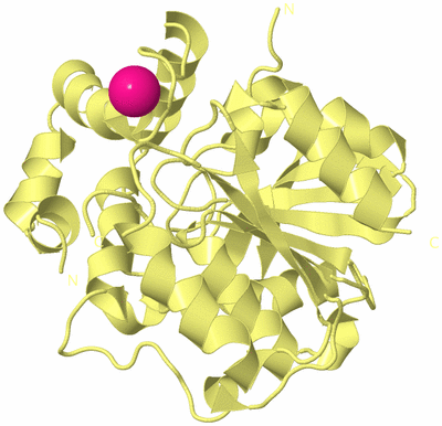Image Biological Unit 4