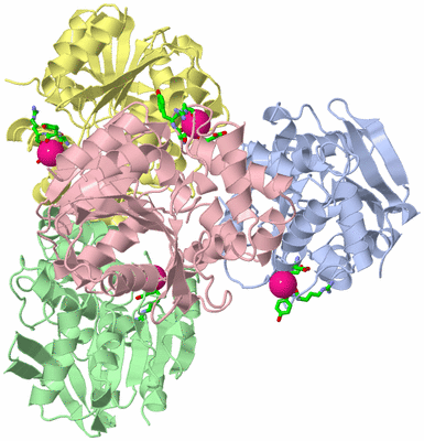 Image Asym. Unit - sites
