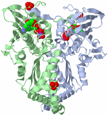 Image Asym./Biol. Unit