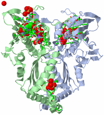 Image Asym./Biol. Unit - sites