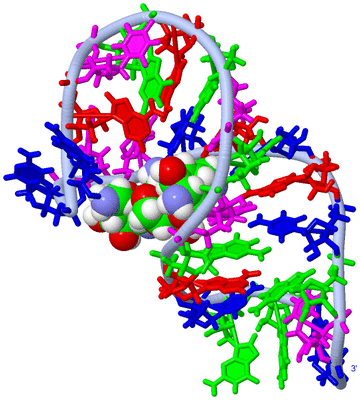 Image NMR Structure - model 1