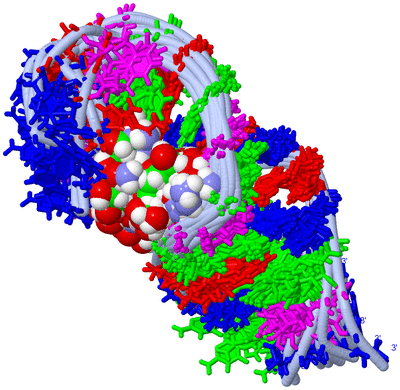 Image NMR Structure - all models