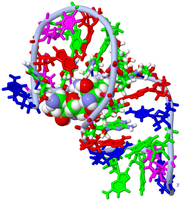 Image NMR Structure - model 1, sites